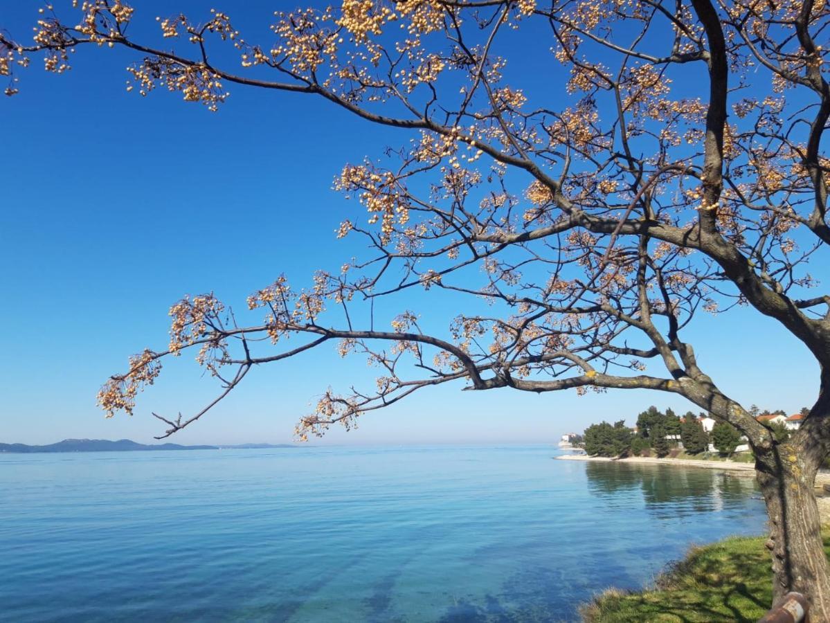 Apartman Milo - Zadar Eksteriør bilde